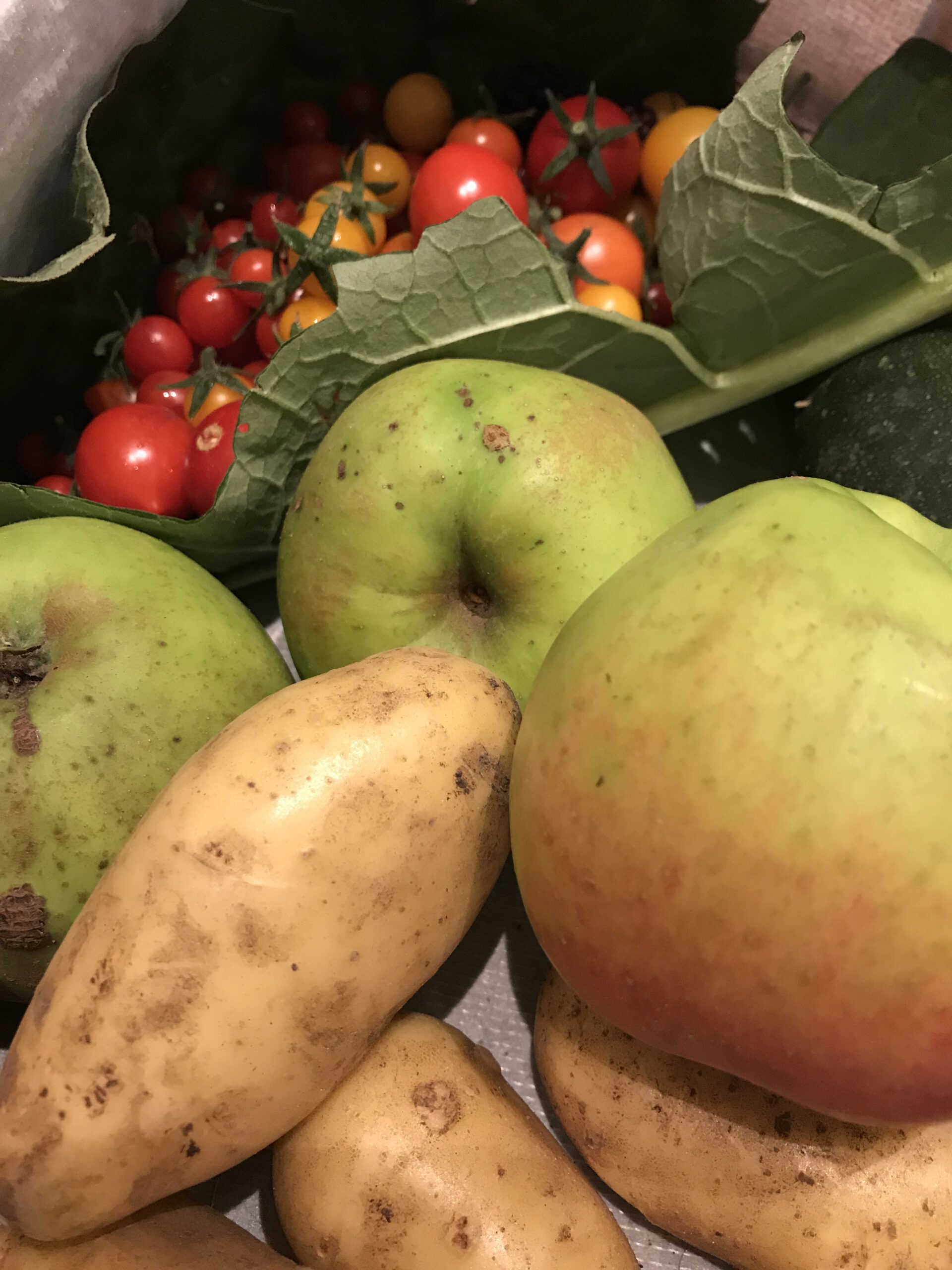 Kita-Essen: GAL lehnt geplante Kostenerhöhungen ab