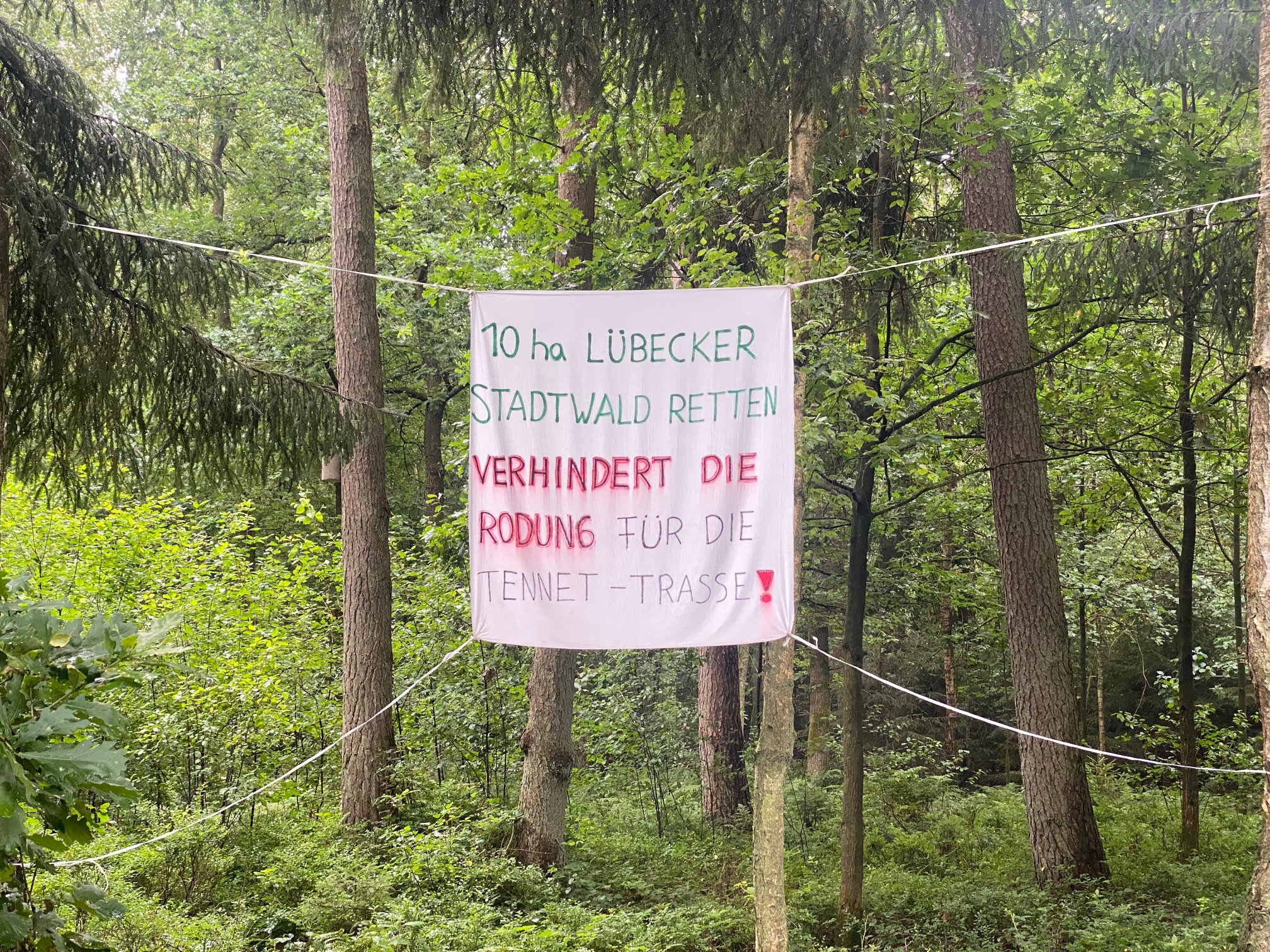 GAL lehnt Kuhhandel mit TenneT ab: