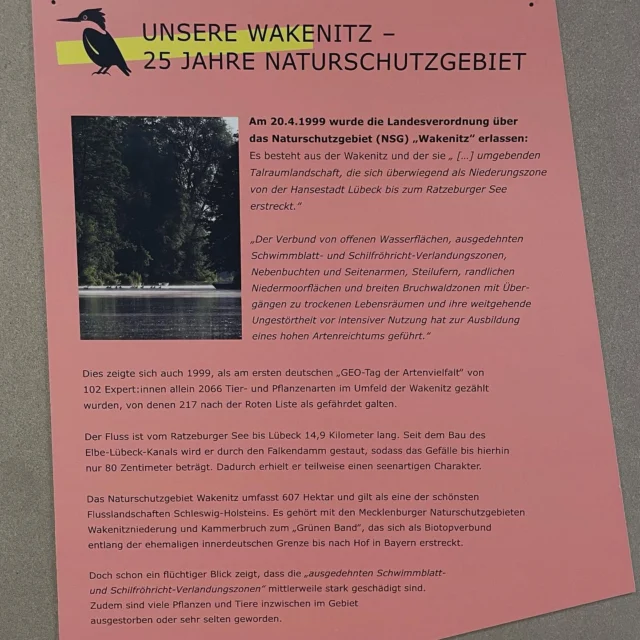 25 Jahre Naturschutz an der Wakenitz – was ist daraus geworden?

Heute haben wir von der GAL die Ausstellung „Unsere Wagnitz– 25 Jahre Naturschutzgebiet“ im Museum für Natur und Umwelt in Lübeck besucht. 

Die Ausstellung wurde ehrenamtlich von Sabine Jebens-Ibs, Rolf Albert, Jörg Clement, Dr. Jürgen Ibs und Günter Werner gestaltet – vielen Dank für dieses Engagement. Einige Eindrücke seht ihr in der Bildabfolge oben.

Seit 25 Jahren steht die #Wakenitz unter #Naturschutz. Damals galt sie als echtes #Naturparadies – mit seltenen #Pflanzen, vielen #Vogelarten und einer beeindruckenden Vielfalt an #Tieren.

Doch heute zeigt sich: Viele #Lebensräume sind beschädigt oder verschwunden, manche Tier- und Pflanzenarten kaum noch zu finden.

Naturschutz heißt nicht nur „unter Schutz stellen“ – sondern auch: aktiv kümmern. Damit die Wakenitz wieder ein Ort voller Leben wird.

Wir setzen uns weiter dafür ein – für die #Natur direkt vor unserer Haustür. 💦🌱🐟

👉 Hinweis für Interessierte:
Es gibt verschiedene Vergünstigungen für den Museumseintritt – z. B. für:
#Kinder und #Jugendliche bis 18 Jahre, Schüler*innen, #Studierende, #Auszubildende, #FSJler*innen, Inhabende der #LübeckCard und der #Ehrenamtskarte, Menschen mit #Schwerbehinderung (ab GdB 50) und ihre Begleitperson (B).

#Lübeck #MenschUmweltKlima #Naturerhalten #25JahreWakenitz #GrünesBand #UnsereWakenitz #wakenitz #wakenitzlübeck 

@julekaschulteostermann @katjamentz @ronald_thorn_official