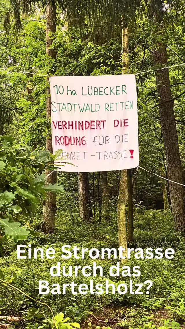 #Bartelsholz muss bleiben! Um erneuerbare Energie aus dem Norden in den Süden Deutschlands zu transportieren, hat der Stromnetzbetreiber TenneT den Bau einer 380 kV Stromtrasse (Elbe-Lübeck-Leitung) geplant und im Herbst 2024 beim Amt für Planfeststellung Energie (im Umweltministerium SH) beantragt.
 
Im Raum Lübeck bevorzugt TenneT eine Trassenvariante, die auf etwa 1,25 km durch das Waldgebiet Bartelsholz bei Lübeck Moorgarten führt. Da unter der Stromleitung keine Bäume stehen dürfen, müssten etwa 10 Hektar Stadtwald gerodet werden.

Die Hansestadt Lübeck, der Naturschutzbeirat der Hansestadt Lübeck, der  @bund_sh und der @nabuluebeck haben sich im Rahmen der Öffentlichkeitsbeteiligung im Oktober 2024 deutlich gegen eine Querung des Bartelsholzes ausgesprochen und schriftliche Einwendungen eingereicht. 
 
Nach einem weiteren Anhörungstermin und der Prüfung durch das Amt für Planfeststellung wurde TenneT nun aufgefordert, die alternative Trassenführung auf landwirtschaftlich genutzten Flächen sowie eine Überspannung des Bartelsholzes zu prüfen.

Dies ist ein wichtiger Teilerfolg für die Umweltschutzbewegung und die Initiative @bartelsholzbleibt . Denn der Wald kann vollständig erhalten bleiben, wenn die Stromtrasse über die angrenzenden landwirtschaftlichen Flächen geführt wird. Dazu muss mit den Landwirten gesprochen werden.

Als Wähler*innengemeinschaft GAL befürworten wir ausdrücklich die Energiewende. Gleichzeitig fordern wir, die Trassenführung der Stromleitungen grundsätzlich umweltschonend zu planen – auch, wenn die Umsetzung dadurch teurer wird.

Als Fraktion LINKE & GAL werden wir am Donnerstag in der Bürgerschaft gemeinsam mit CDU, Grünen und SPD eine Resolution beschließen, dass sich die Bürgerschaft für eine alternative Trassenführung ausspricht, die nicht durch den Lübecker Stadtwald geführt wird. Die schwarz-grüne Landesregierung und die Planfeststellungsbehörde werden gebeten, entsprechende Pläne vorzulegen. Setzt auch ihr weiterhin Zeichen: Unterstützt das überparteiliche Bündnis STADTWALD LÜBECK RETTEN! @bartelsholzbleibt #bartelsholzbleibt #StadtwaldLübeckRetten #Energiewende #Lübeck #Biodiversität
